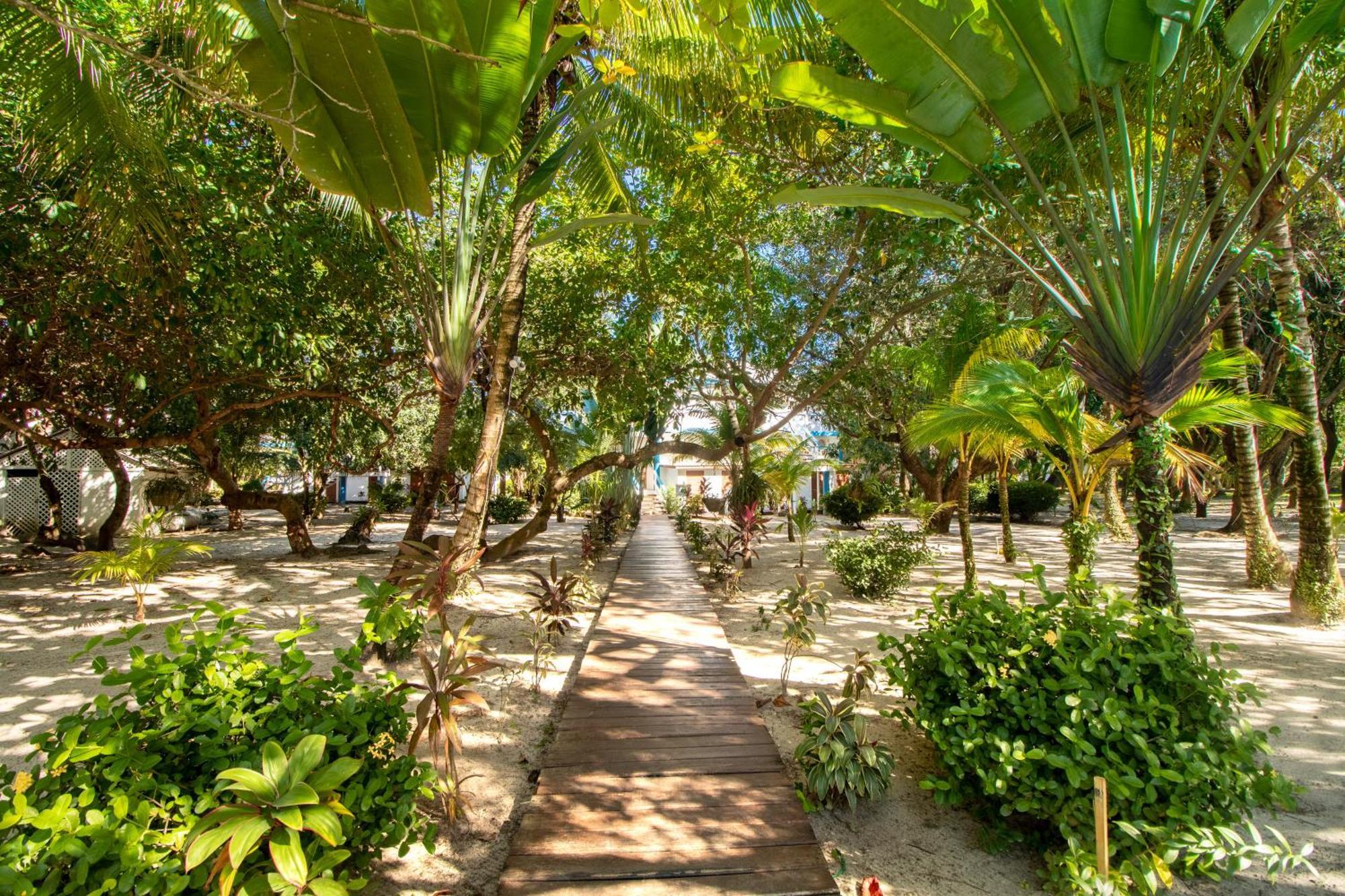 Beachside Villas Gold Standard Certified Placencia Bilik gambar